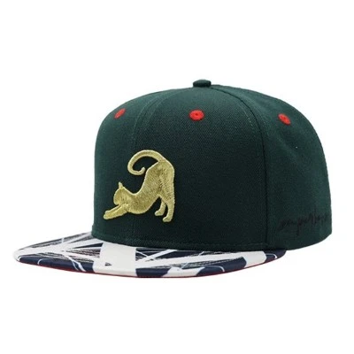 Metallinen kirjonta Snapback Cap